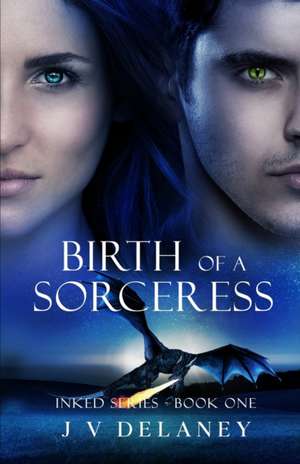 Birth Of A Sorceress de J V Delaney