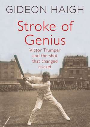 Stroke of Genius de Gideon Haigh