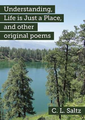 Understanding, Life is Just a Place, and other original poems de C. L. Saltz