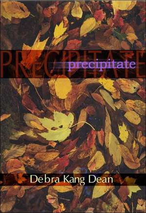 Precipitates de Debra Kang Dean