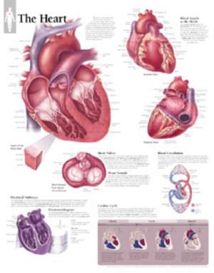Heart Paper Poster de Scientific Publishing