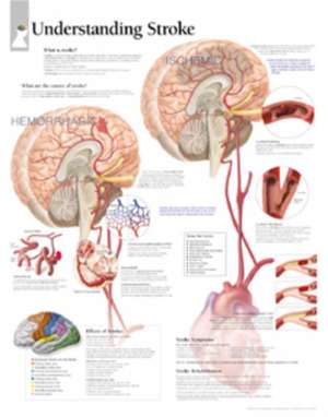 Understanding Strokes de Scientific Publishing Company