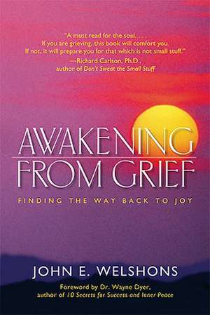 Awakening from Grief: Finding the Way Back to Joy de John E. Welshons