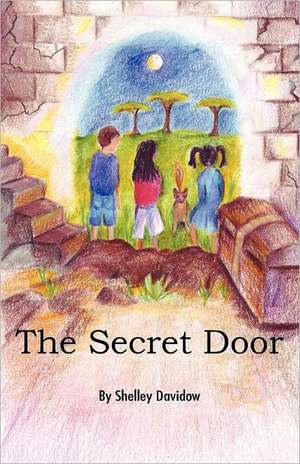 The Secret Door de Shelley Davidow