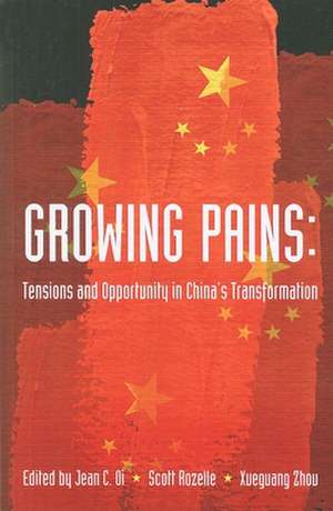 Growing Pains: Tensions and Opportunity in China's Transformation de Jean C. Oi