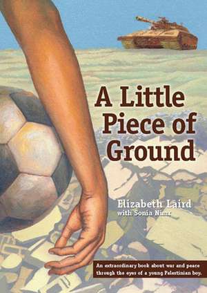 A Little Piece of Ground de Elizabeth Laird