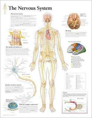 The Nervous System Chart: Laminated Wall Chart de Scientific Publishing