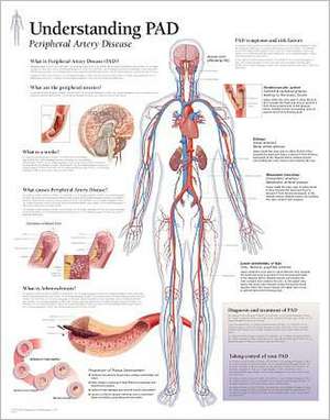 Understanding Pad Chart: Laminated Wall Chart de various