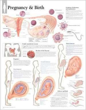 Pregnancy and Birth de Scientific Publishing