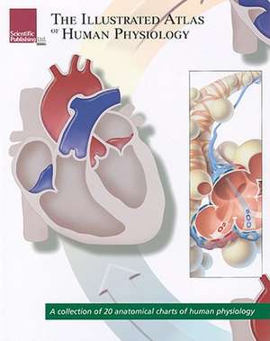 The Illustrated Atlas of Human Physiology: A Collection of 20 Anatomical Charts of Human Physiology de Scientific Publishing