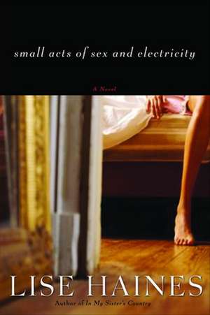 Small Acts of Sex and Electricity de Lisa Haines