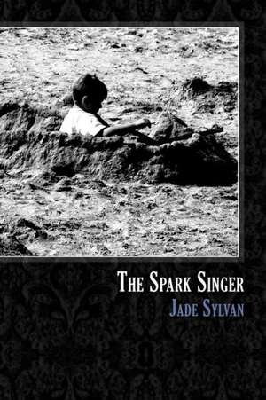 The Spark Singer: Xxperimental Prose by Contemporary Women Writers