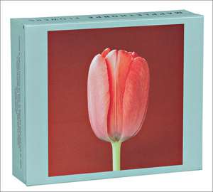 Mapplethorpe Flowers: Quicknotes -- Greeting, Thank You & Invitation Cards in a Reuseable Flip-Top Box Decorated with Modern Illustrations de The Robert Mapplethorpe Foundation