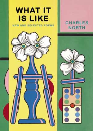 What It Is Like: New and Selected Poems de Charles North