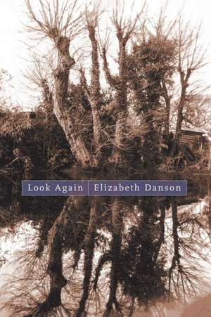 Look Again de Elizabeth Danson