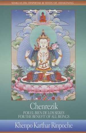 Chenrezik: Por El Bien de Los Seres de Khenpo Karthar Rinpoche