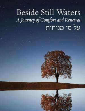 Beside Still Waters de Rachel Barenblat