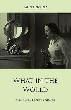 What in the World. a Museum's Subjective Biography de Pablo Helguera