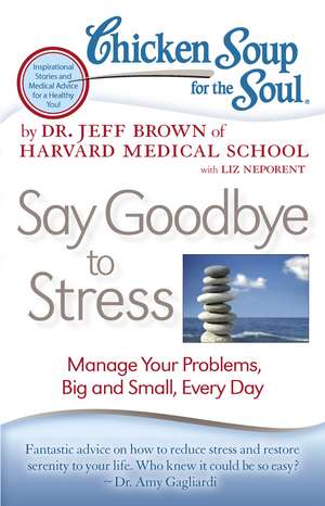 Chicken Soup for the Soul: Say Goodbye to Stress: Manage Your Problems, Big and Small, Every Day de Dr. Jeff Brown