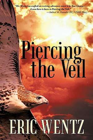 Piercing the Veil