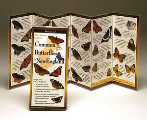 Common Butterflies of the Northeast de Rick Cech