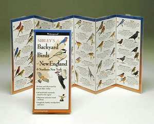 Sibley's Backyard Birds of the Northeast de David Sibley