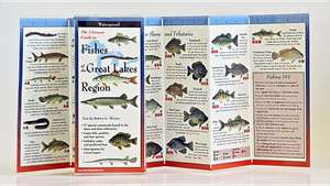 The Ultimate Guide to Fishes of the Great Lakes Region de Robert G. Werner