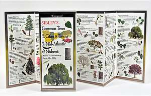 Sibley's Common Trees in the Cities & Towns of the Mid-Atlantic & Midwest de David Sibley