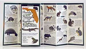 Florida's Mammals, Reptiles, and Amphibians de Fiona Reid