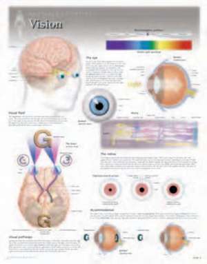 Vision Laminated Poster de Scientific Publishing