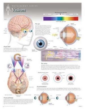 Vision Wall Chart: 8220 de Scientific Publishing