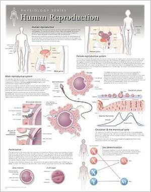 Human Reproduction Wall Chart: 8500 de Scientific Publishing