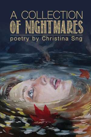 A Collection of Nightmares de Christina Sng