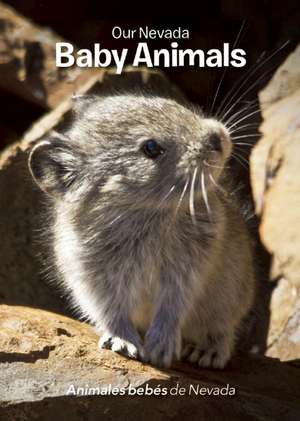 Our Nevada: Baby Animals de Jerri Conrad