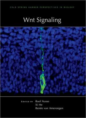 Wnt Signaling de Roeland Nusse