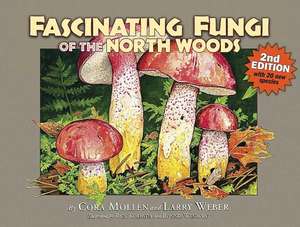 Fascinating Fungi of the North Woods de Cora Mollen