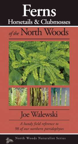 Ferns of the North Woods: Including Horsetails & Clubmosses de Joe Walewski