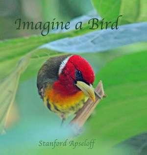 Imagine a Bird de Stanford Apseloff