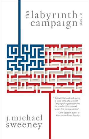 The Labyrinth Campaign: Real-Life Strategies, Insights, and Issues for Broadcast Journalists, Aspiring Journalists, Production Executives, and