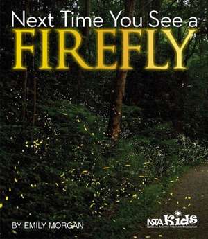 Next Time You See a Firefly de Emily R. Morgan