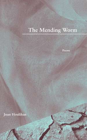 The Mending Worm de Joan Houlihan