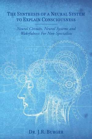 The Synthesis of a Neural System to Explain Consciousness: Neural Circuits, Neural Systems and Wakefulness for Non-Specialists