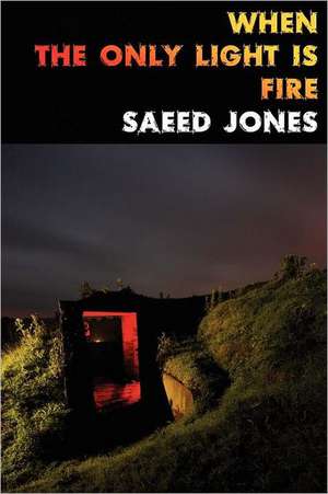 When the Only Light Is Fire de Saeed Jones