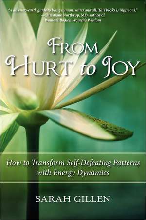 From Hurt to Joy de Sarah Gillen