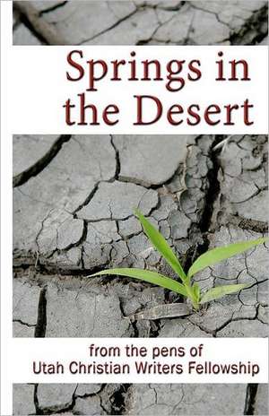 Springs in the Desert: From the Pens of Utah Christian Writers Fellowship de Utah Christian Writers Fellowship