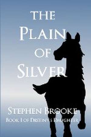 The Plain of Silver de Stephen Brooke