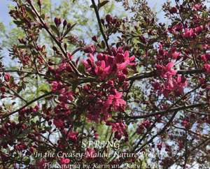 Spring in the Creasey Mahan Nature Preserve de Karin Acree