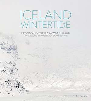 Iceland Wintertide de David Freese