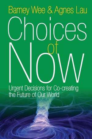 Choices of Now de Barney Wee