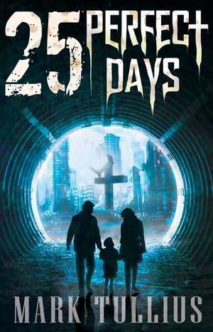 25 Perfect Days de Mark Tullius